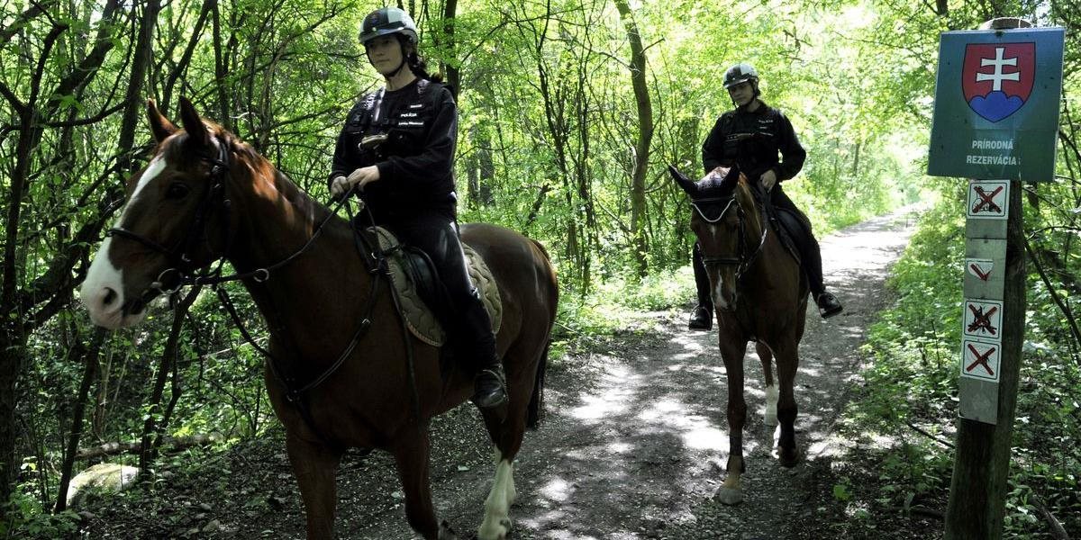 Na Slovensku by sa mala zriadiť Prírodná polícia
