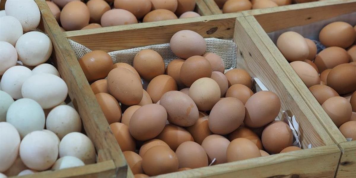 Holandsko a Belgicko riešia škandál s vajíčkami infikovanými pesticídmi
