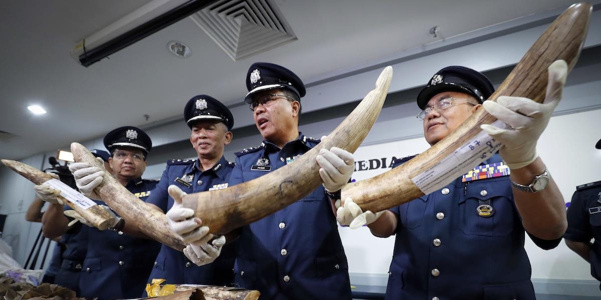 Úrady v Malajzii zhabali slonovinu a šupiny šupinavcov z Afriky
