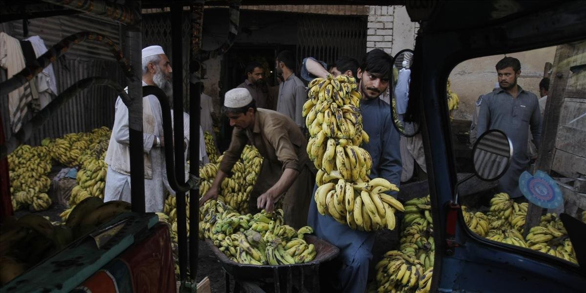 V zásielke banánov našli 123 kilogramov kokaínu