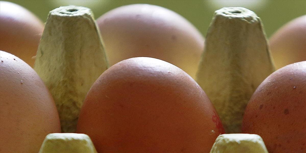 EÚ začala pre infikované vajcia vlastné vyšetrovanie