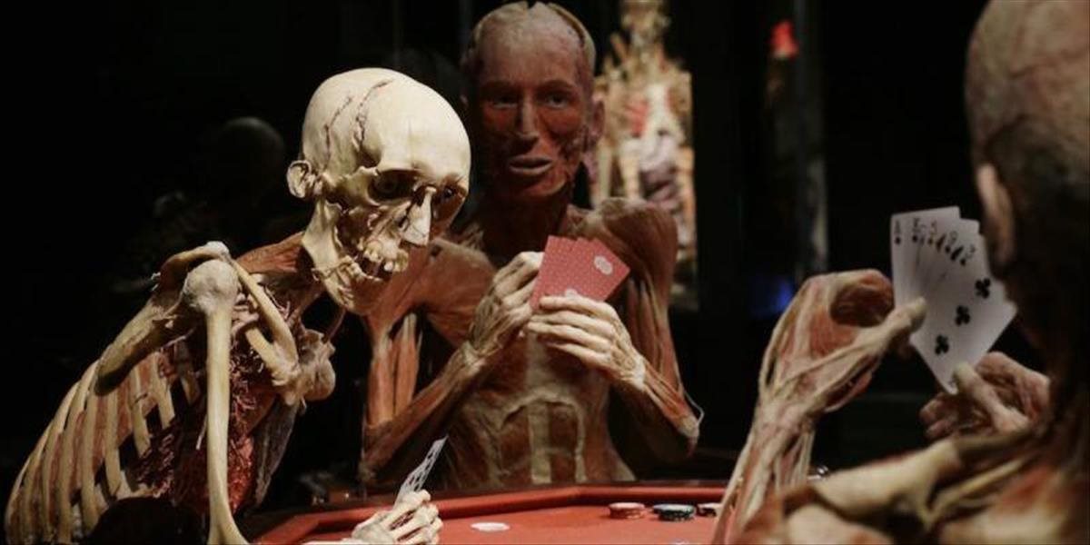 Výstava mŕtvych tiel nie je podľa hygienikov v rozpore so zákonom o pohrebníctve