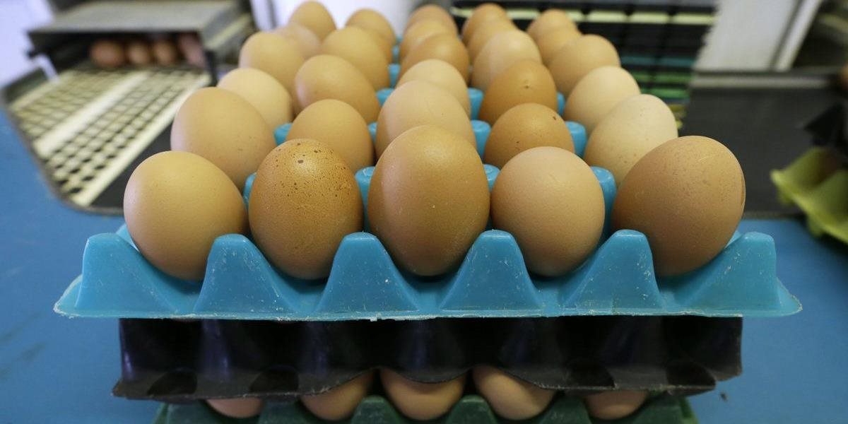Kontaminované vajcia z Belgicka sú oveľa škodlivejšie než úrady pôvodne uvádzali!