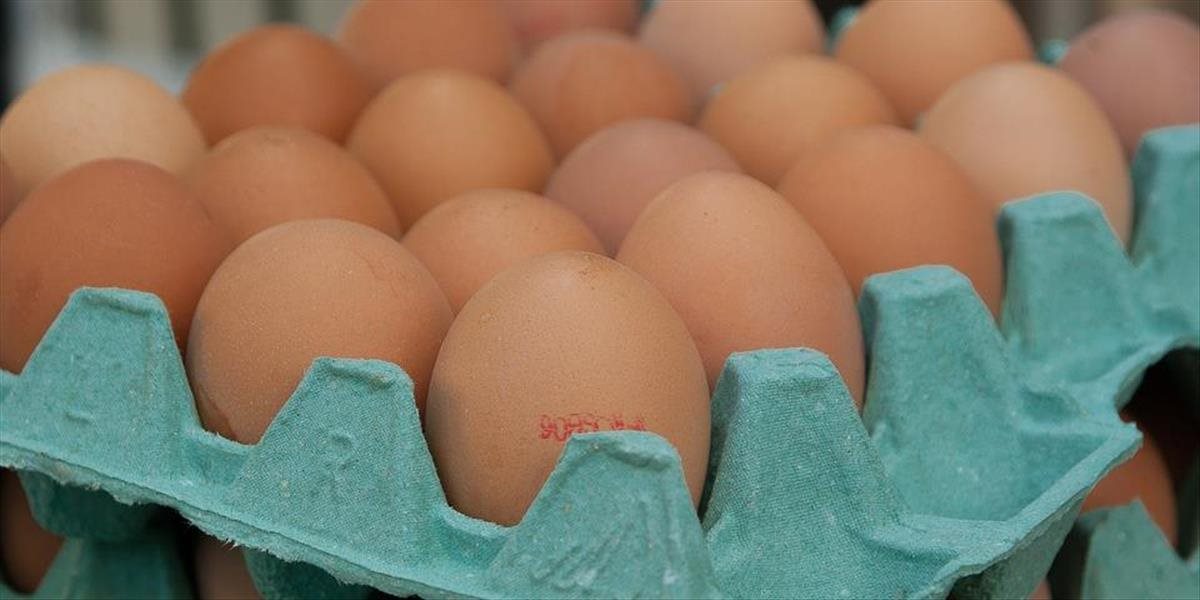 Holandské vajcia kontaminované fipronilom sa nachádzajú už aj na Slovensku