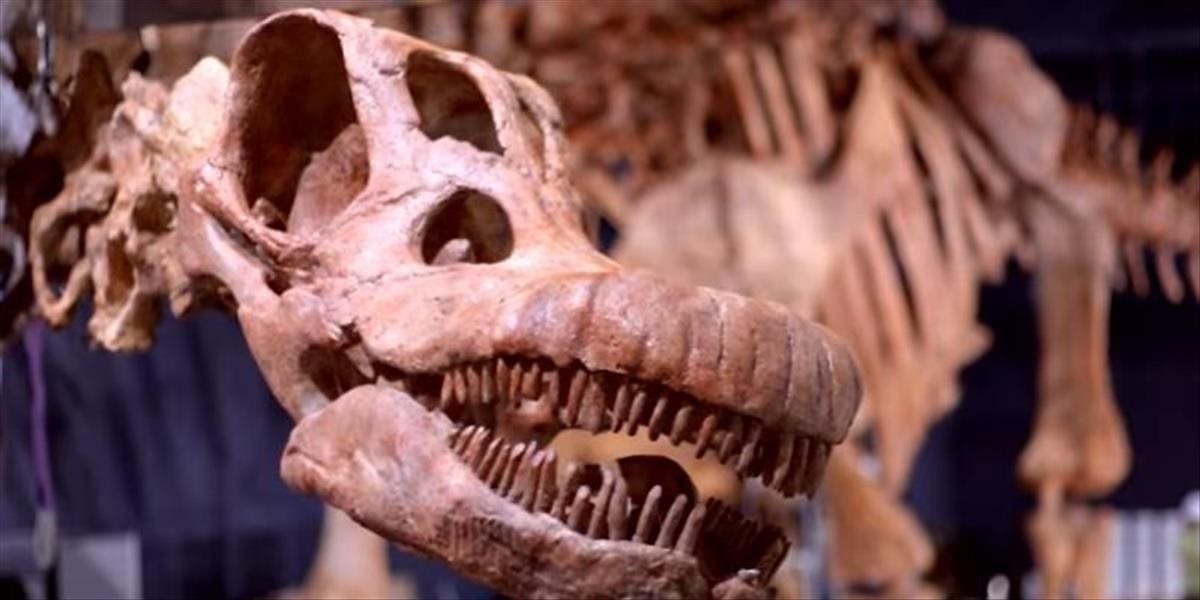Objavili najväčšieho dinosaura, aký kedy chodil po Zemi. Tipnete si koľko vážil?