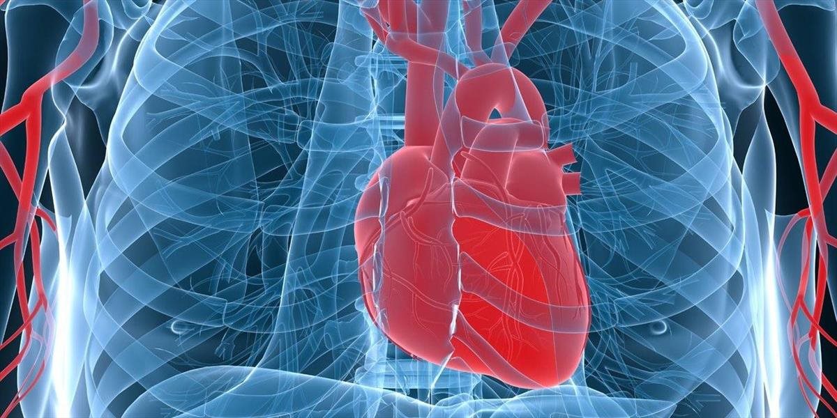 Poškodené srdce môže zachrániť proteín: Nahradí transplantáciu?
