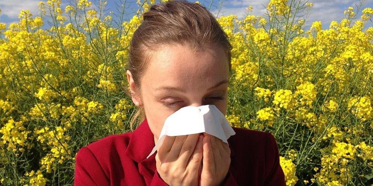 Alergikov potrápi peľ inváznych rastlín