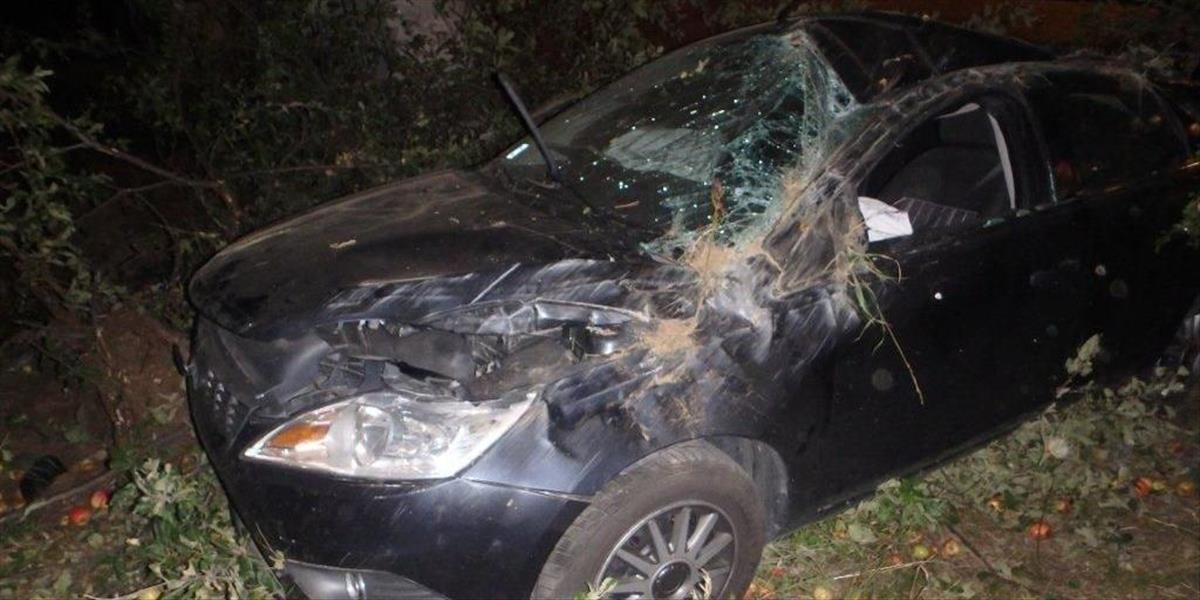 Žena v noci narazila autom do stromu, namerali jej 2,21 promile