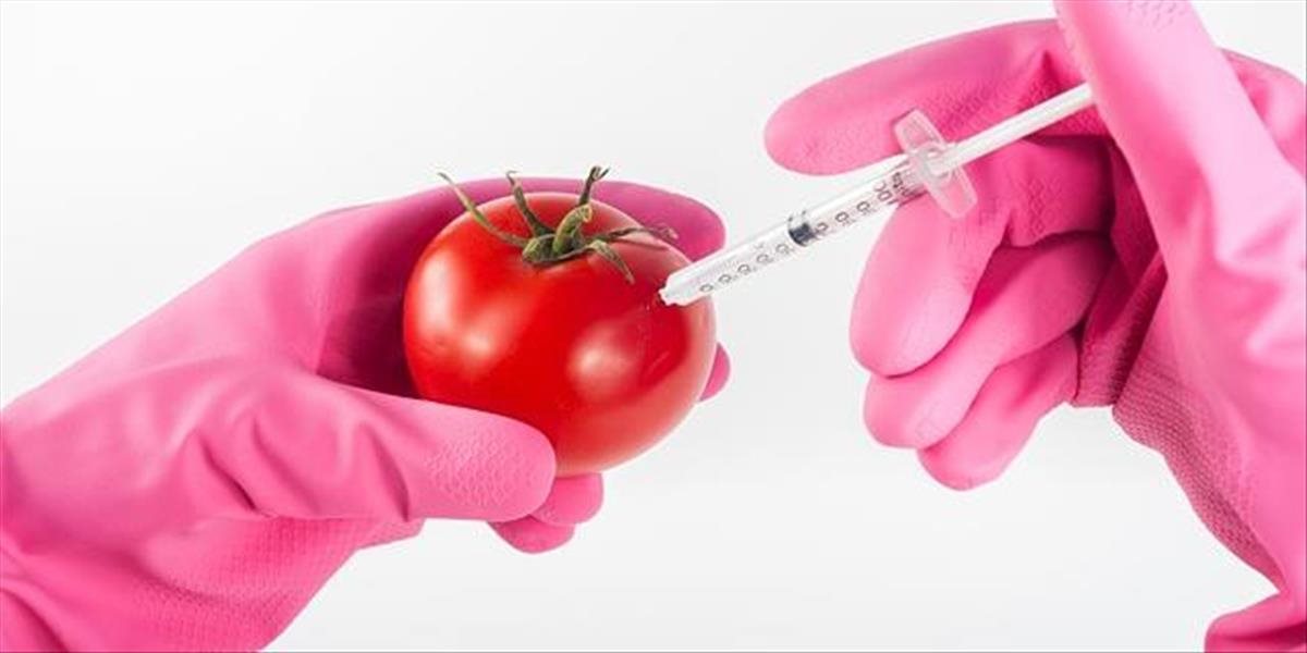 Spúšťame vlastné testy potravín na GMO. Prieskum u kanadských mamičiek a ich nenarodených detí dopadol odstrašujúco