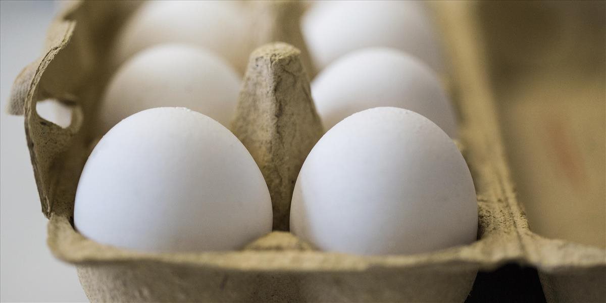 Jedna štvrtina Nemcov zmenila návyky v konzumácii vajec pre obavy z fipronilu