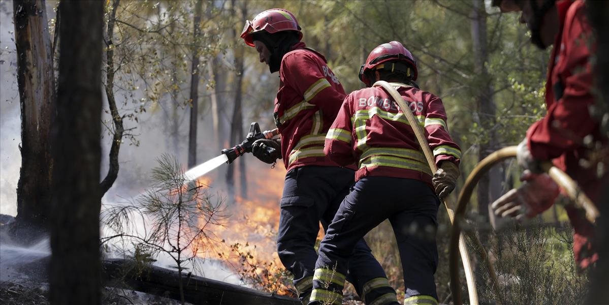 Krajina bojuje s rekordným počtom lesných požiarov