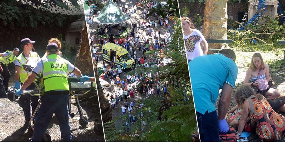 VIDEO Na Madeire spadol strom, zabil dvanásť ľudí