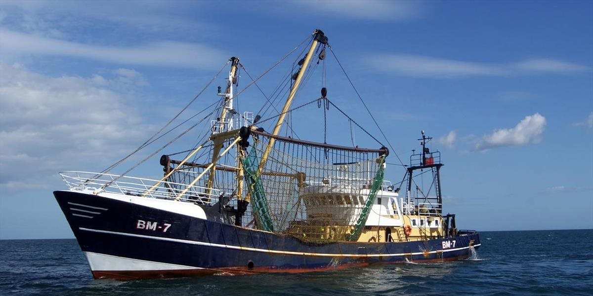 Polícia v Ekvádore zadržala rybársku loď s ohrozenými druhmi žralokov