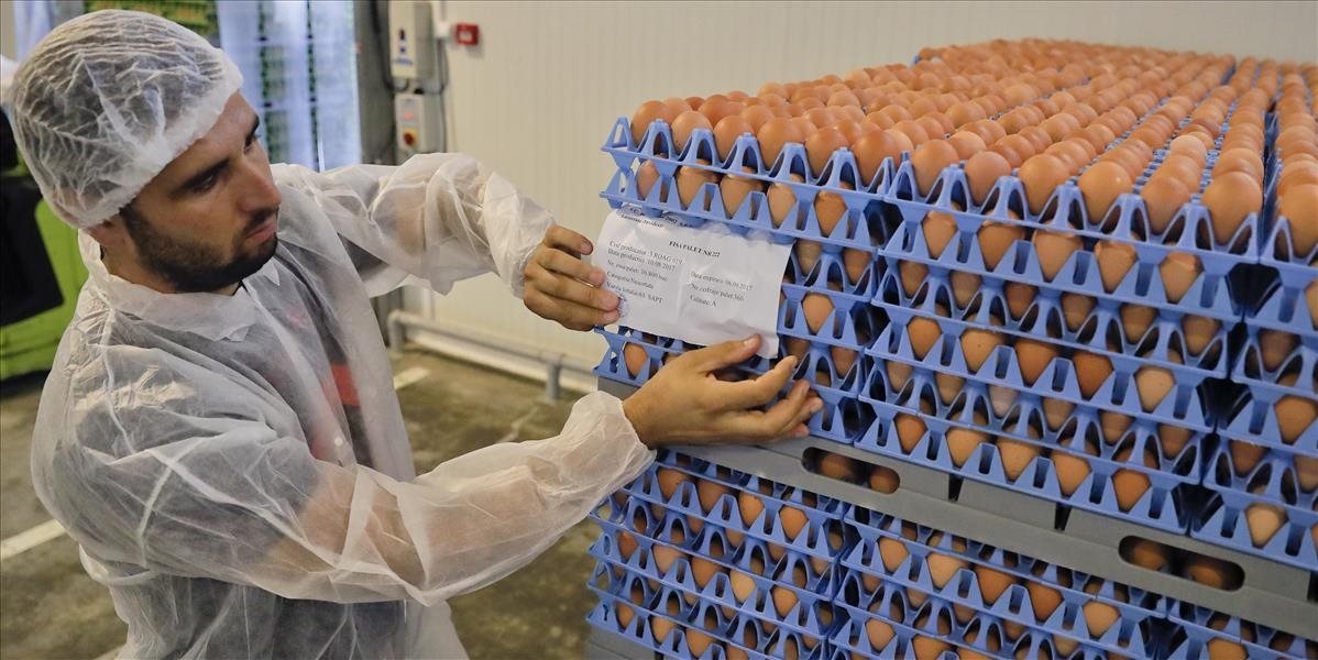 Produkty z kontaminovaných holandských vajec našli v štyroch bratislavských hoteloch