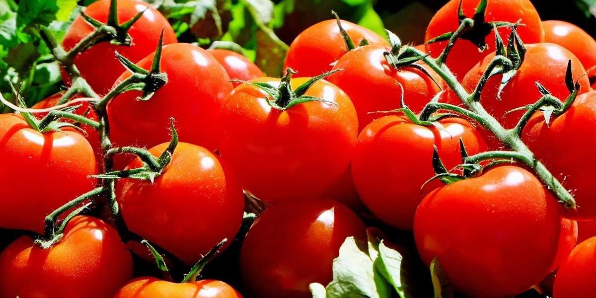 Slovenskí spotrebitelia začali uprednostňovať na pultoch domáce rajčiny