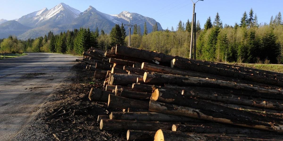 Kontrola obchodu s drevom sa zákonom od januára sprísni