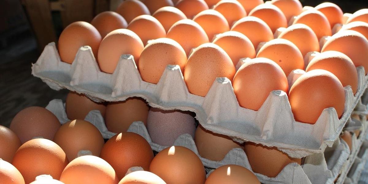 Kontaminované vajíčka sa na Slovensko zrejme dostali i cez súkromného spotrebiteľa