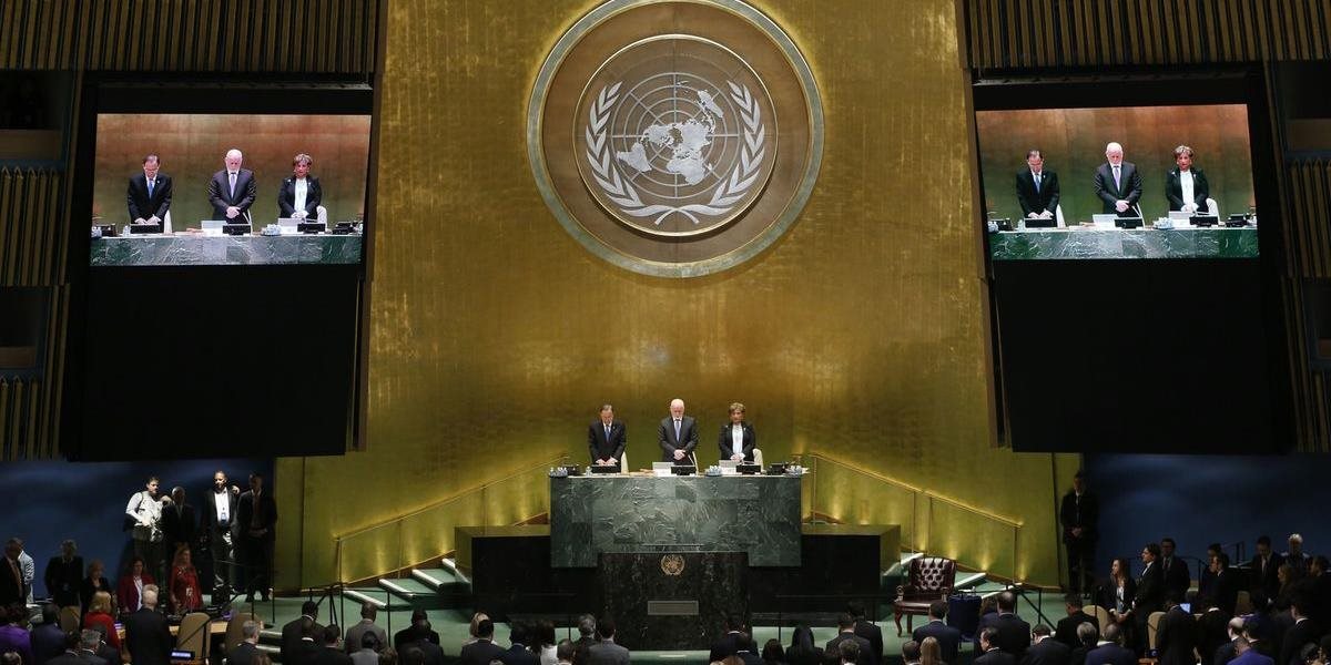 Výboru OSN bola za posledný rok proti Slovensku podaná iba jedna sťažnosť