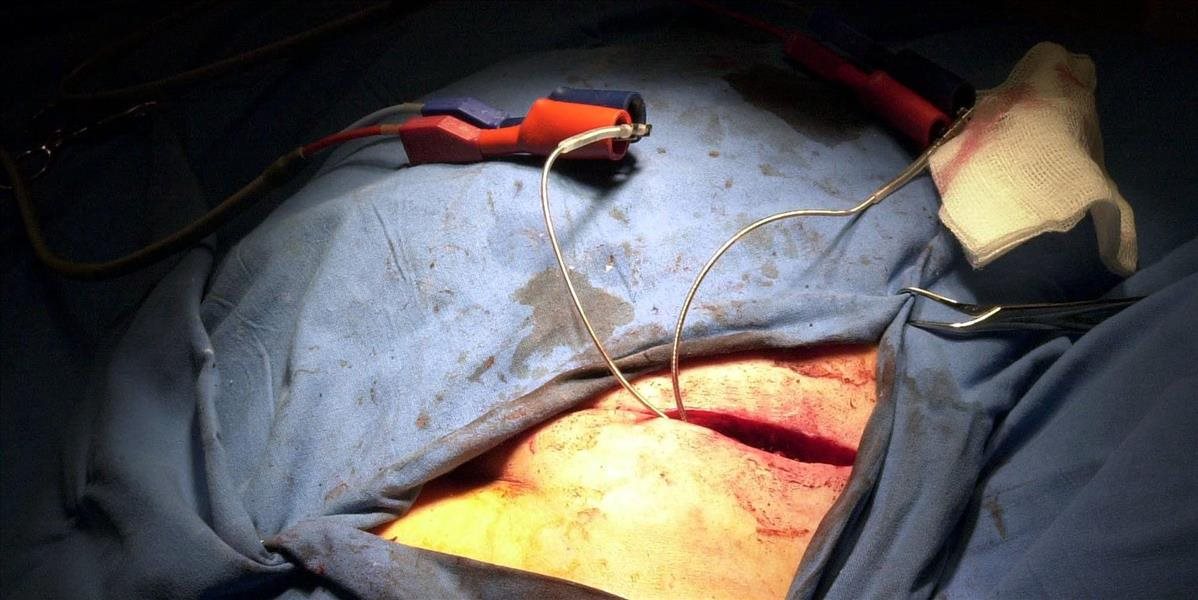 Slovenskí vedci pracujú na nekonečnej batérii pre kardiostimulátory