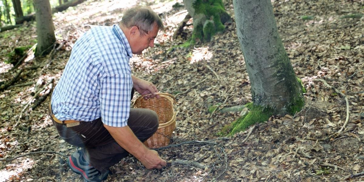 Počas zberu húb našiel muž v lese rumunskú delostreleckú mínu