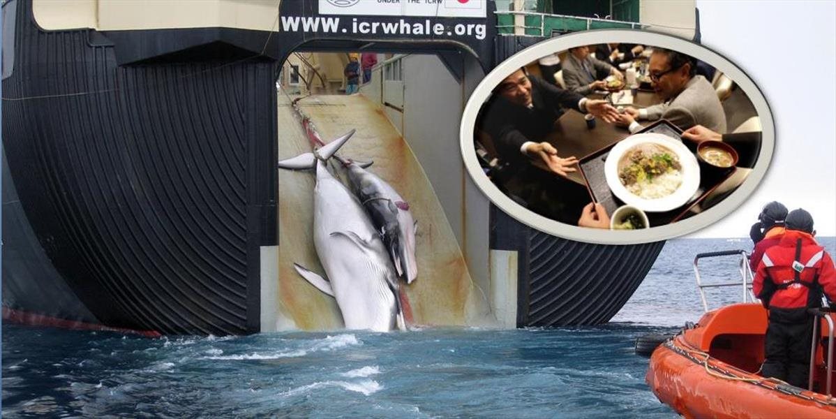 Krvavé FOTO Japonsko využíva dieru v zákone a masovo loví veľryby na pokraji vyhynutia