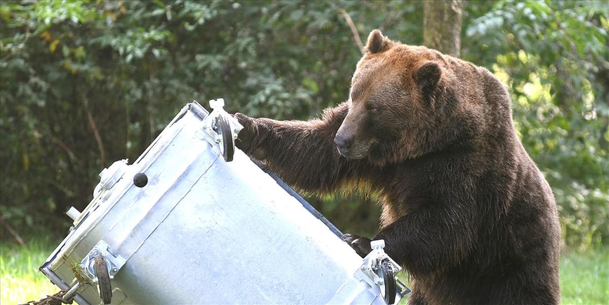 V košickej zoo testovali kontajner odolný voči medveďom