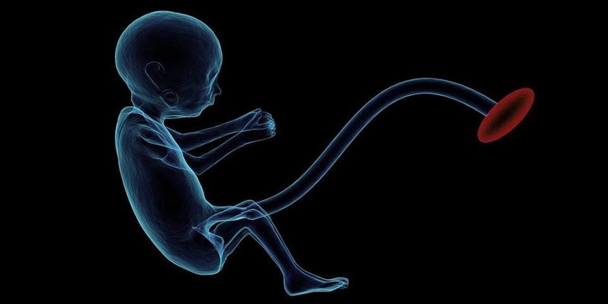 Čínskym vedcom sa podarilo vykonať prvú chemickú operáciu na ľudských embryách