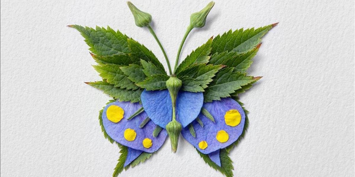 FOTO Pastva pre oči! Umelec vytvára drobné kvetinové dekorácie v tvare hmyzu