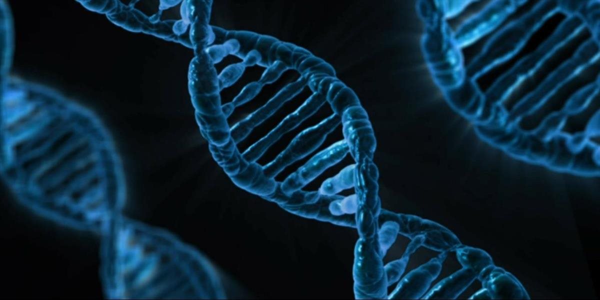VIDEO Vedci prepísali hudbu do kódu DNA: Uchová sa tak pre budúce generácie