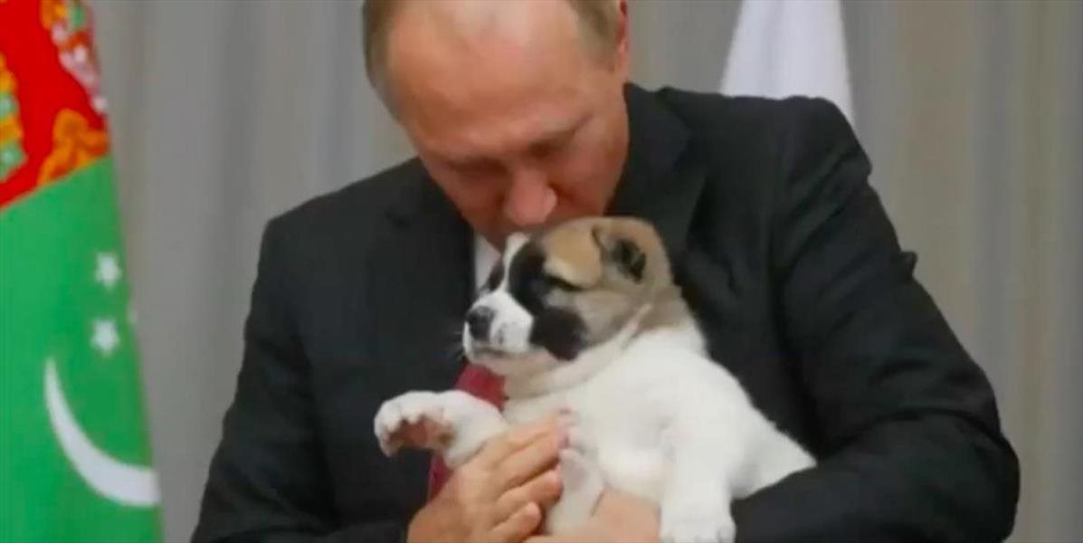 Putin dostal do daru ďalšieho psa