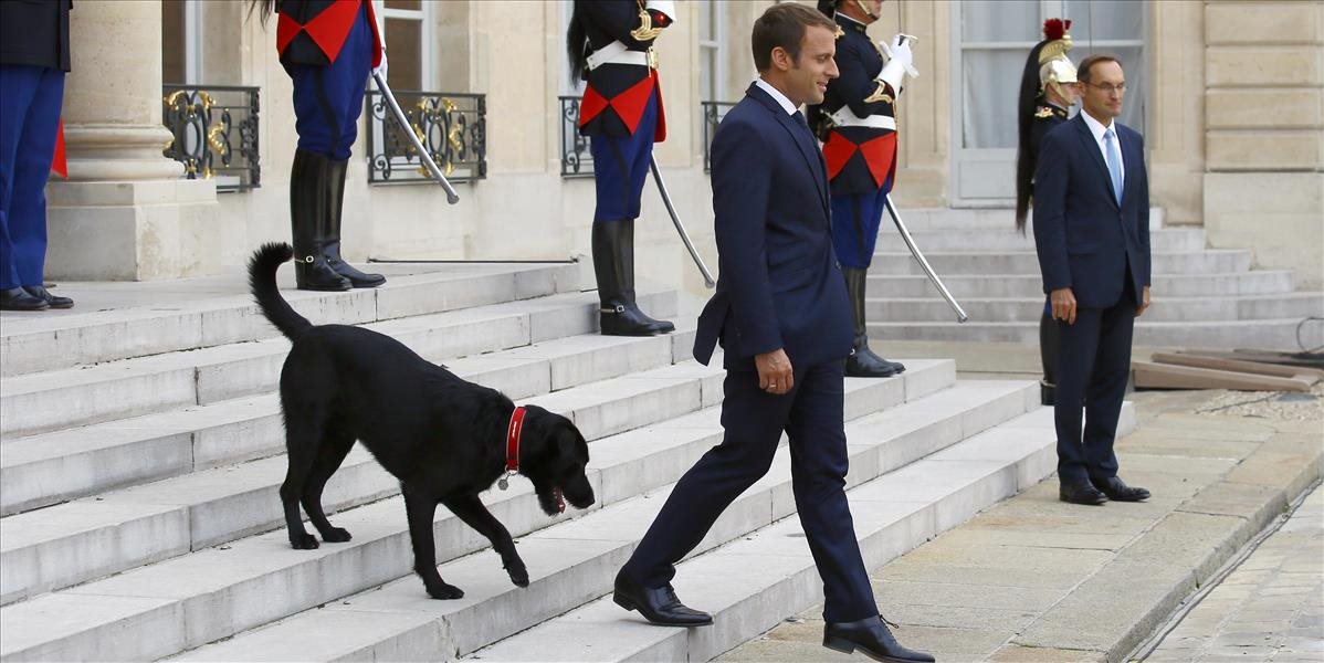 VIDEO Macronov pes si uľavil počas rokovania vlády, všetkých rozosmial