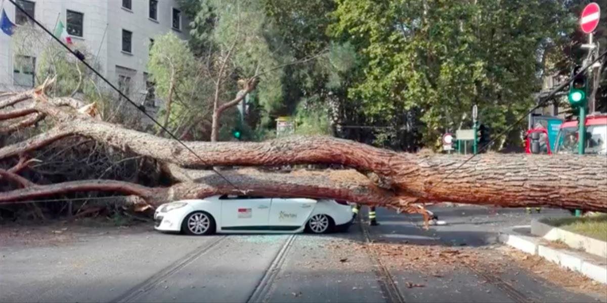 V Ríme sa obrovský strom zrútil na vozidlo taxislužby, vodič skončil v nemocnici