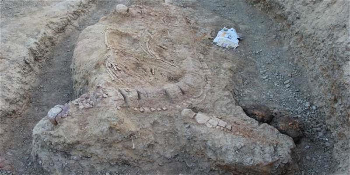 Našli prvú fosíliu ichtyosaura starú 152 miliónov rokov
