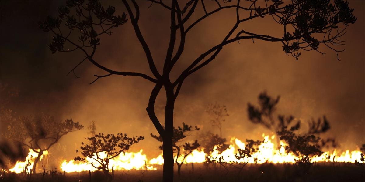 V Brazílii horí národný park: Zasahujú hasiči a takmer 200 dobrovoľníkov