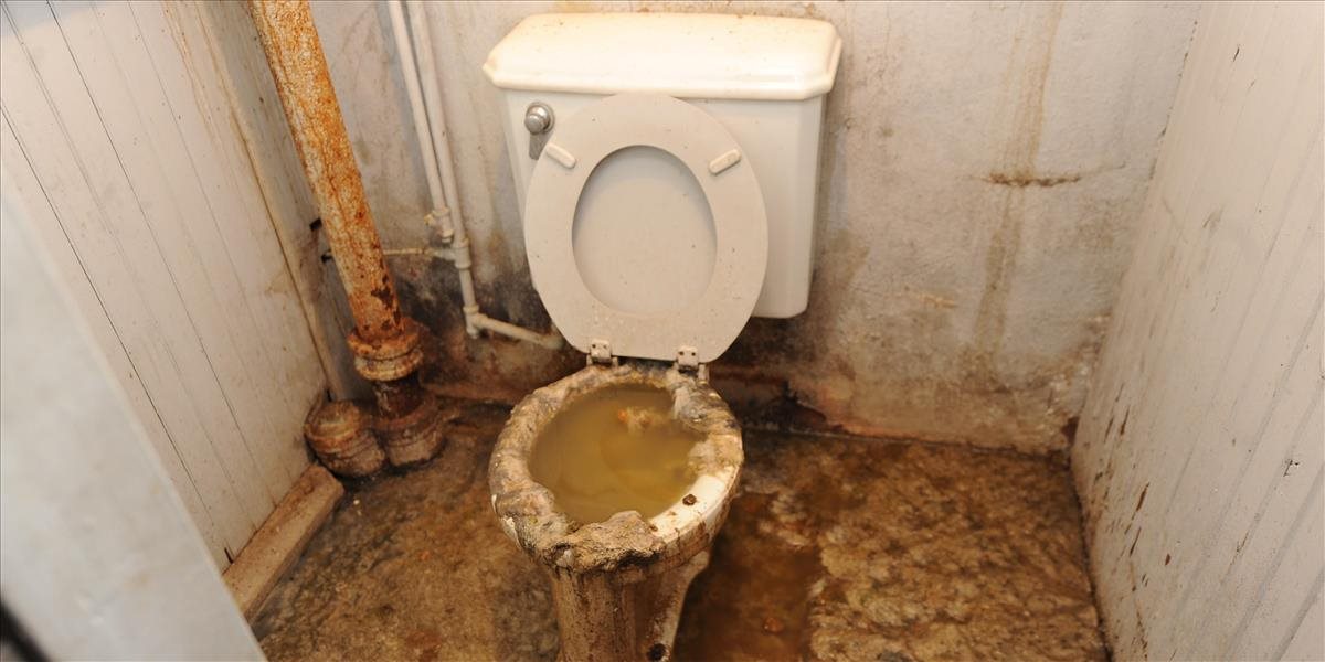 Toaletu či latrínu nemá vo svete doma 4,5 miliardy ľudí