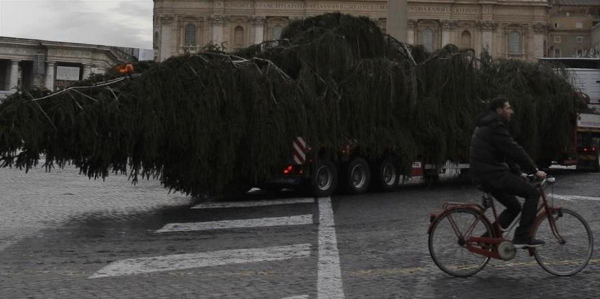 Viezol trochu väčší vianočný stromček, zanechal po sebe v nemeckom meste spúšť