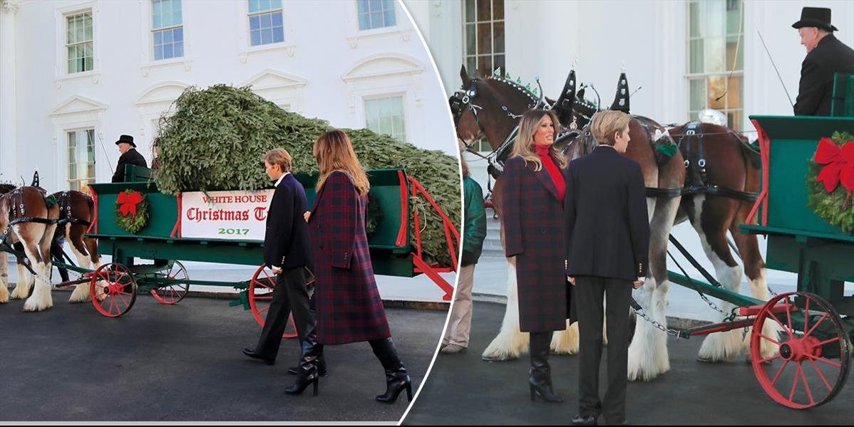 VIDEO Do Bieleho domu už priviezli vianočný stromček: prevzali ho prvá dáma a Barron Trump