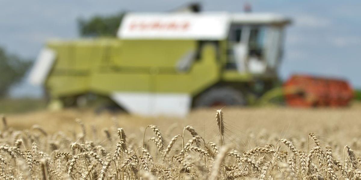 Slovensko zaznamenalo v minulom roku najvyšší nárast v produkcii obilnín z krajín EÚ