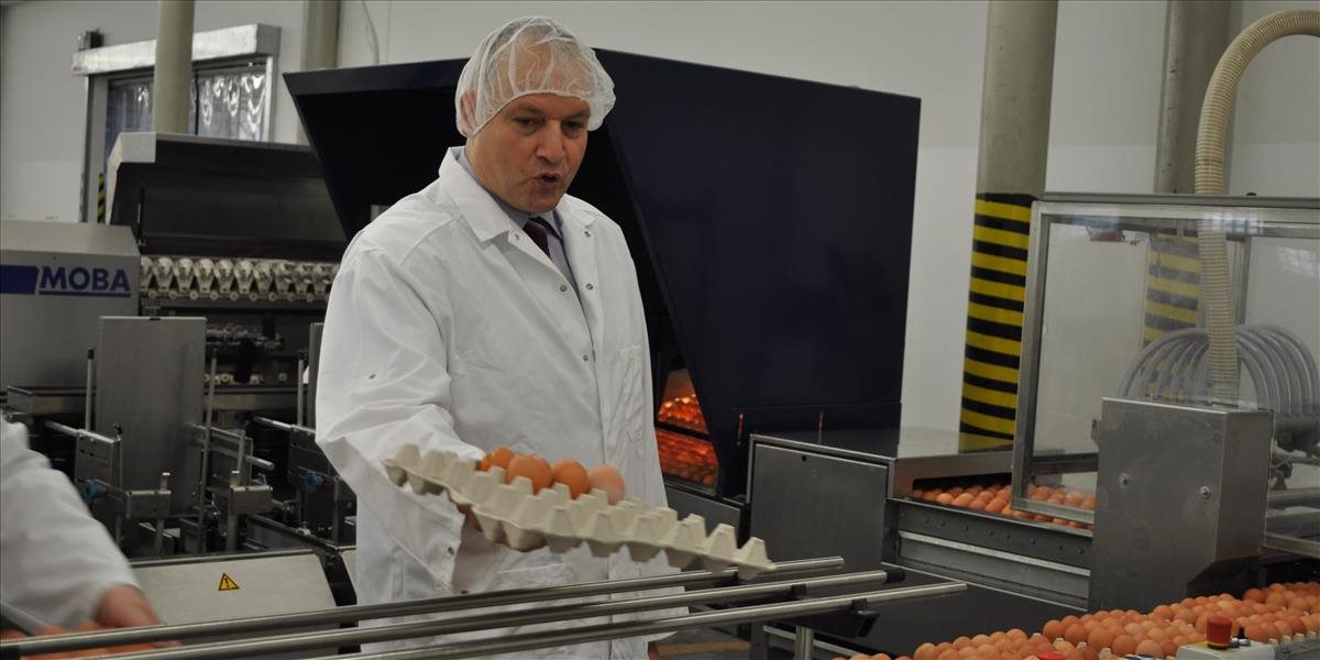Sebestačnosť Slovenska v produkcii vajec bude aj za rok 2017 viac ako 100-%