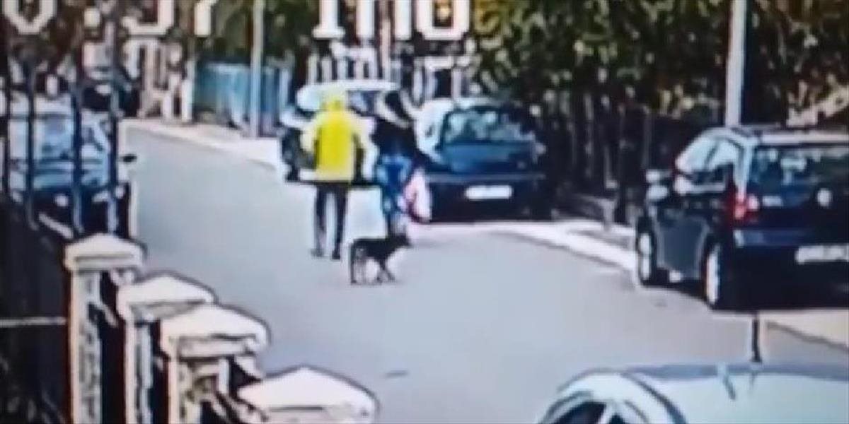 VIDEO Ženu za bieleho dňa napadol lupič, zachránil ju pes z ulice