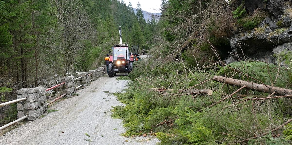 Škody po veternej smršti bilancujú aj lesníci