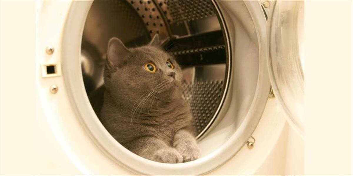 Rodina v Nórsku omylom v práčke vyprala kocúra