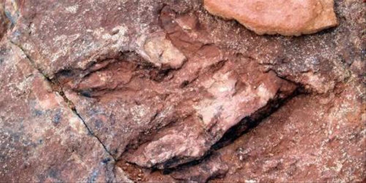 Vandali v Austrálii poškodili stopu dinosaura starú 115 miliónov rokov