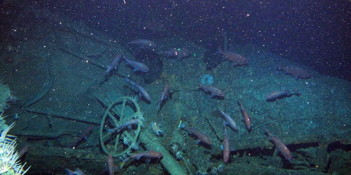 Po 103 rokoch objavili ponorku, ktorá sa stratila počas 1. svetovej vojny