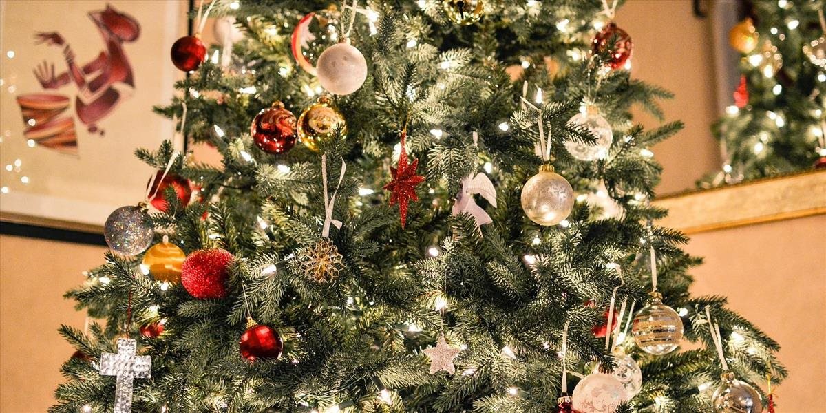 Vianočný stromček vnáša do domácností atmosféru najkrajších sviatkov roka