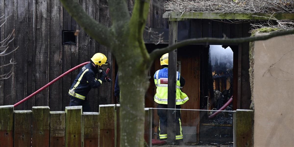 Pri požiari v londýnskej zoo zasahovalo viac ako 70 hasičov
