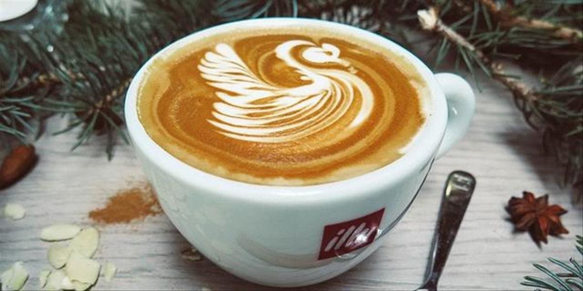 Taliansky výrobca kávy Illy chce výrazne investovať do vína