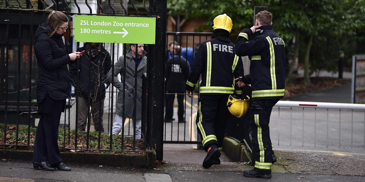 Londýnsku zoo po požiari opäť otvorili: Zahynulo päť zvierat
