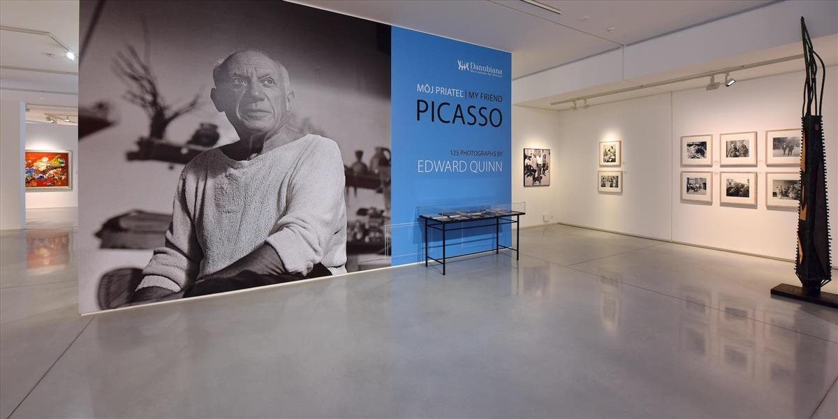 Výstavu Môj priateľ Picasso videlo viac ako 4400 návštevníkov Danubiany