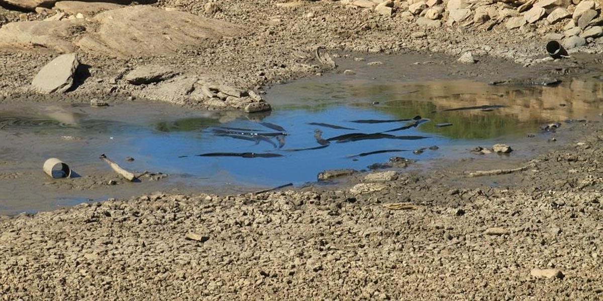 Opatrenia na boj so suchom budú stáť Slovensko desiatky miliónov eur